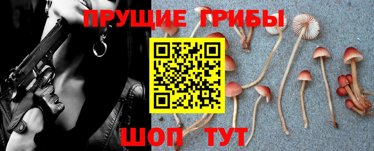 Псилоцибиновые грибы Cubensis Аша