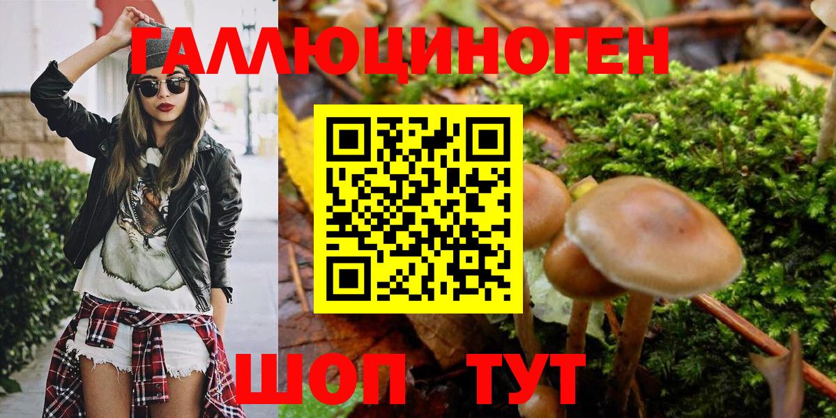 Псилоцибиновые грибы Psilocybine cubensis  Галлюциногенные грибы Magic Shrooms  Аша  Вход с VPN 