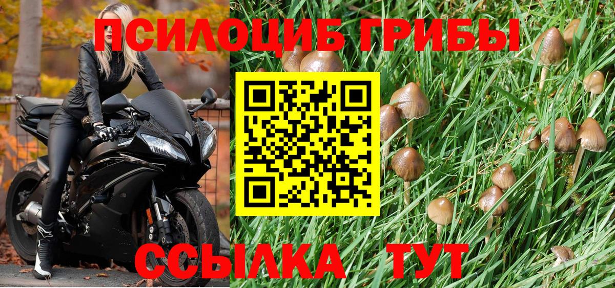 Псилоцибиновые грибы Аша