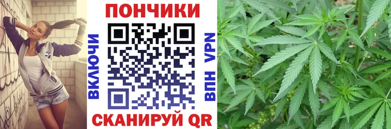 купить Аша Канабис Amnesia